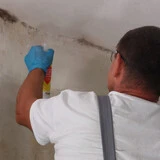 jak_likividovat_plisen_v_byte