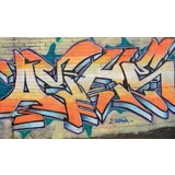 Jak ochránit omítky proti graffiti - nahledový obrázek