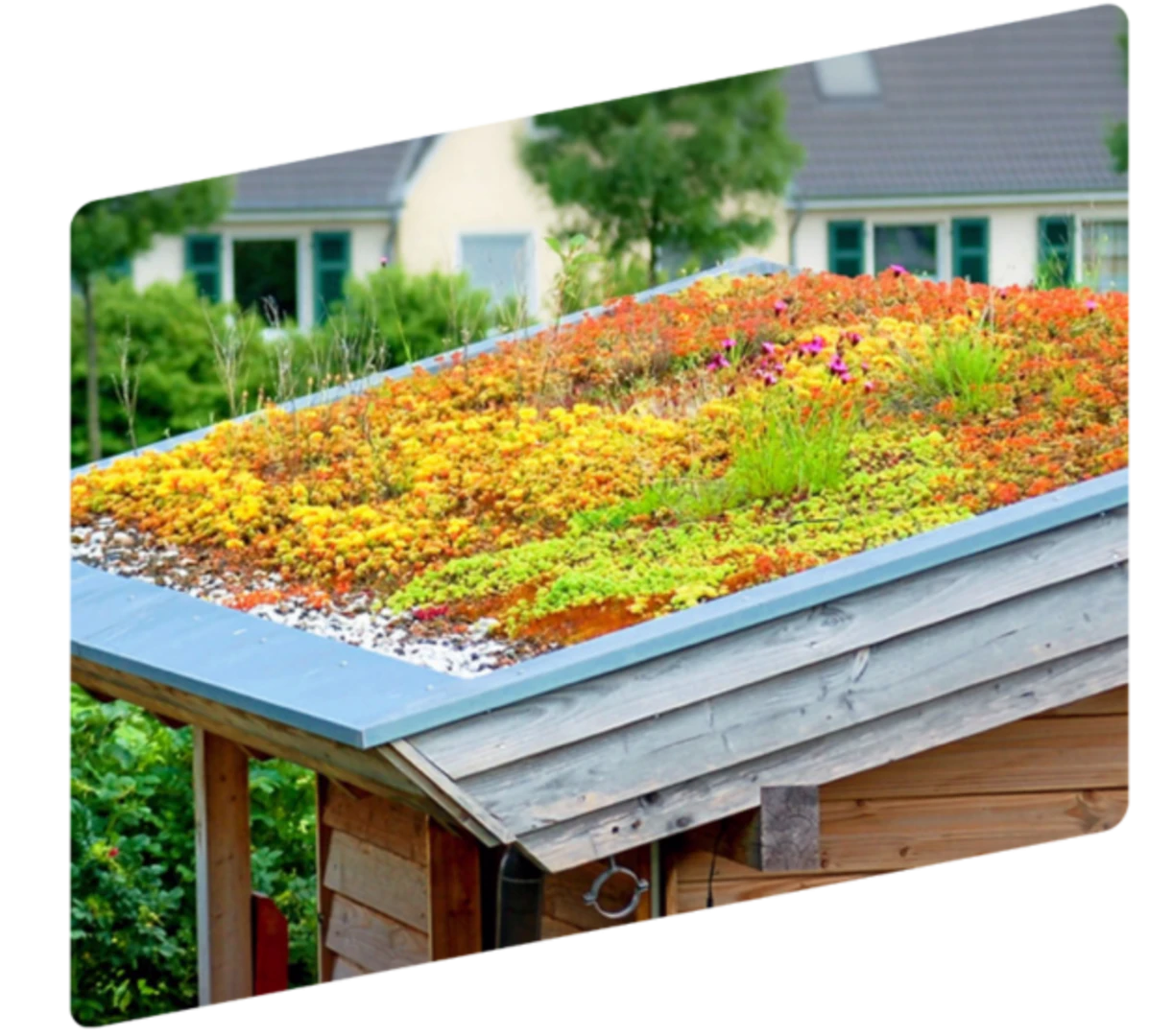 Modrozelená řešení