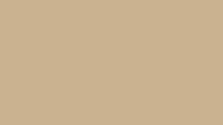N004 (NCS S 3010-Y30R)