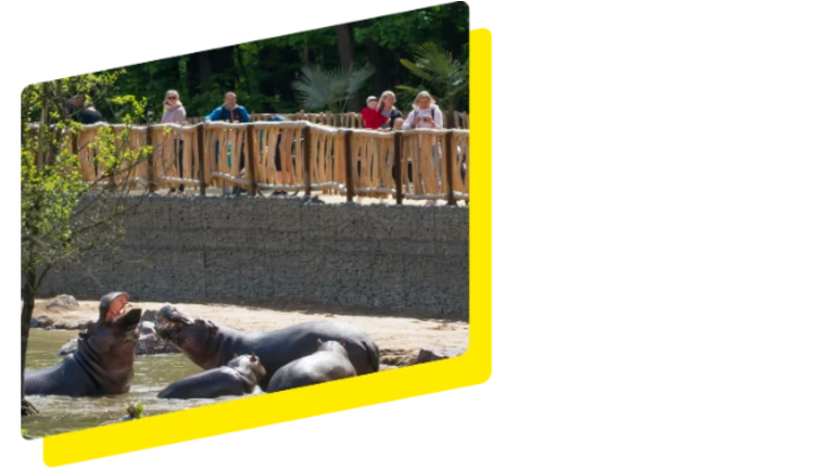 ZOO Dvůr Králové nad Labem